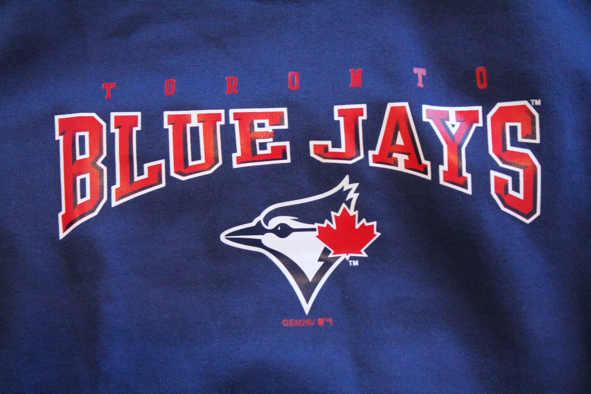 MLB Toronto Blue Jays Youth Fleece Hoodie