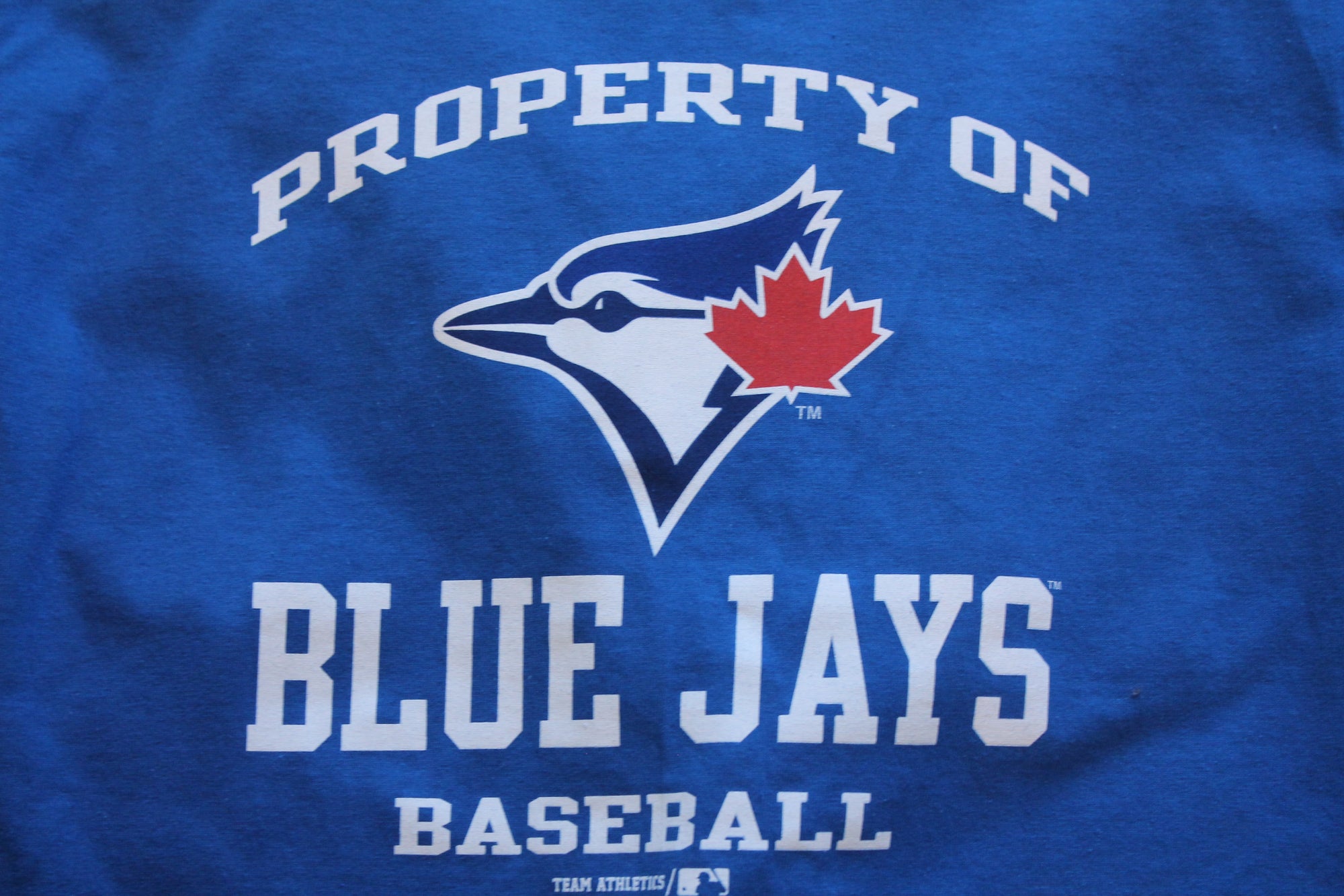 MLB Toronto Blue Jays Youth Property Of Tee (Blue)
