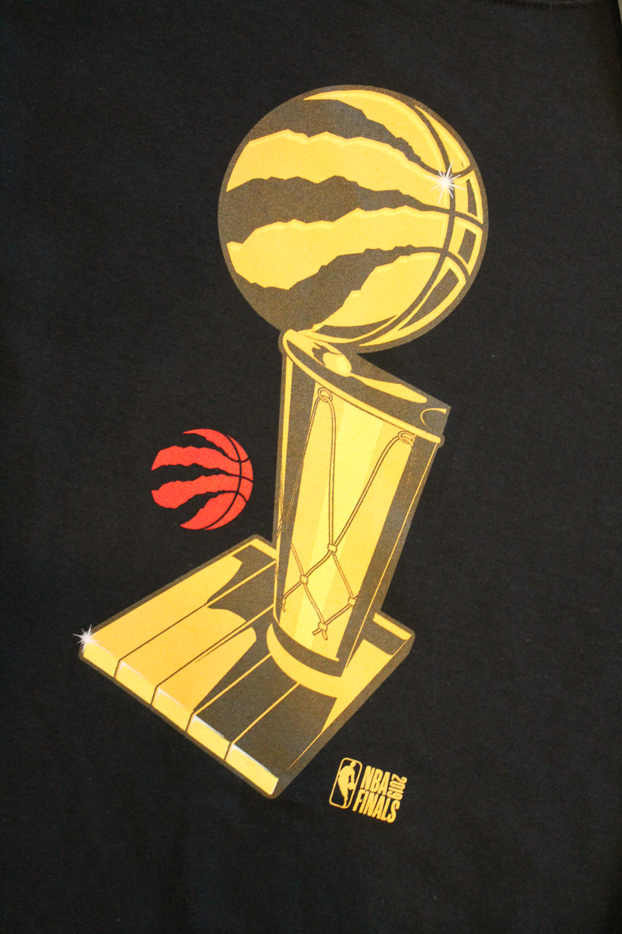 NBA Toronto Raptors Men's 47 Brand Champions 19
