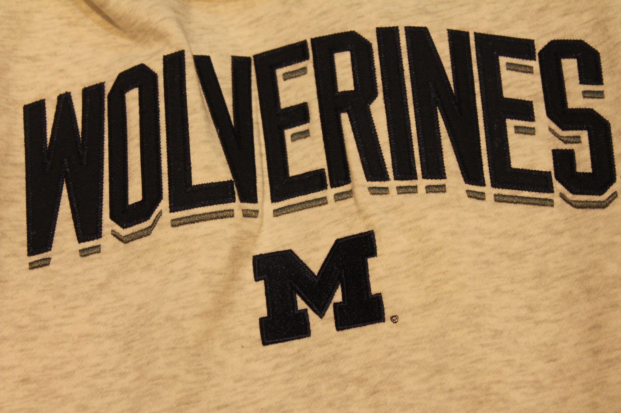 NCAA Men's Michigan Wolverines Champion Hoodie