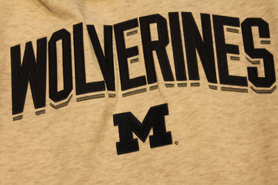 NCAA Men's Michigan Wolverines Champion Hoodie