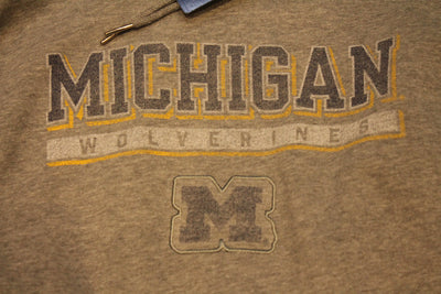 NCAA Men's Michigan Wolverines Champion Distressed Hoodie - XXL