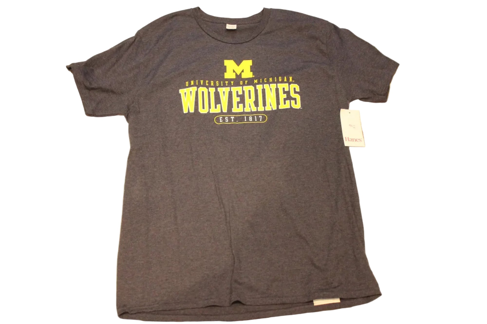 NCAA Men's Michigan Wolverines Hanes Tee