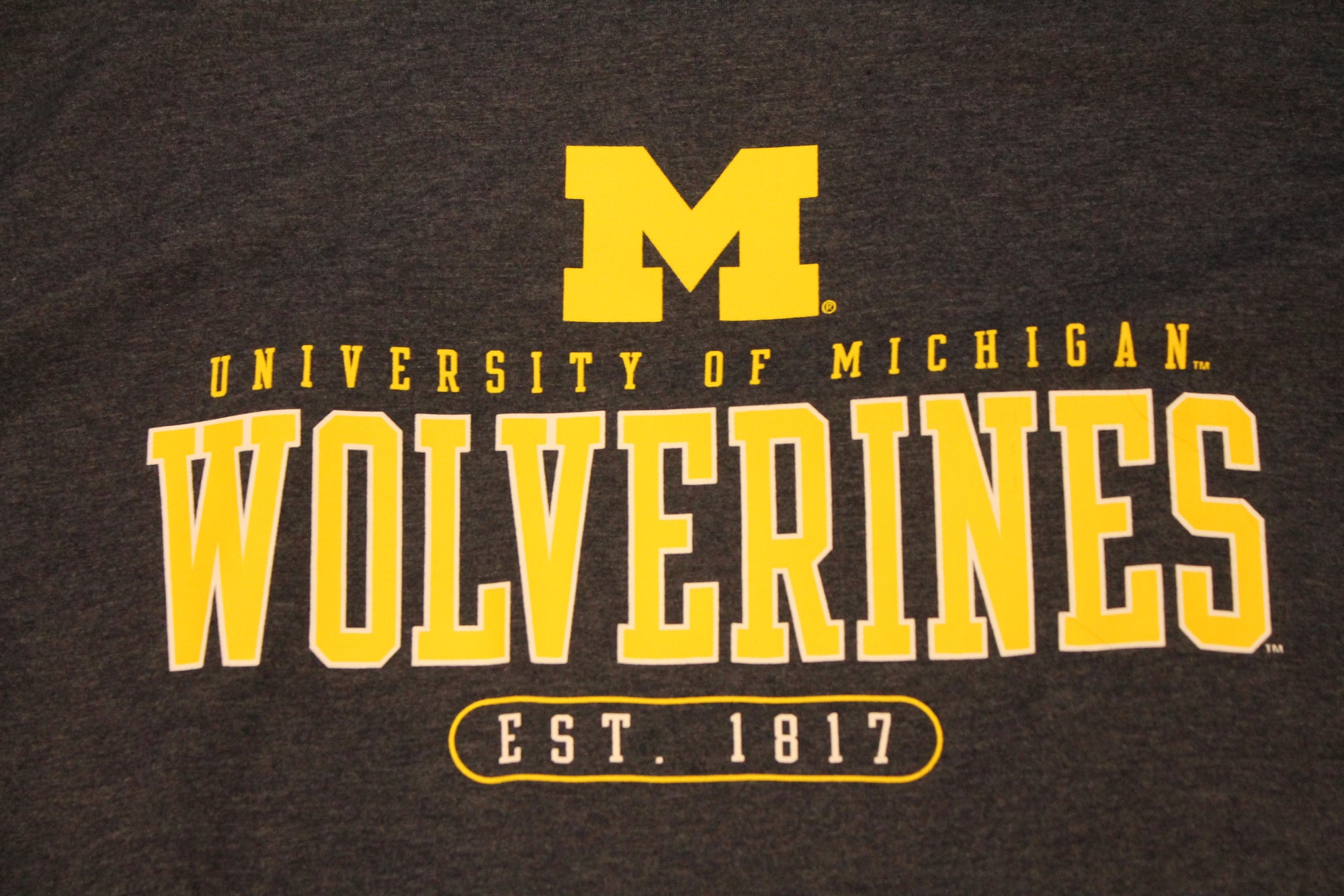 NCAA Men's Michigan Wolverines Hanes Tee