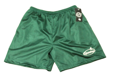 NCAA Michigan State Spartans Men's Sports Star Mesh Shorts - XLarge (Sale)