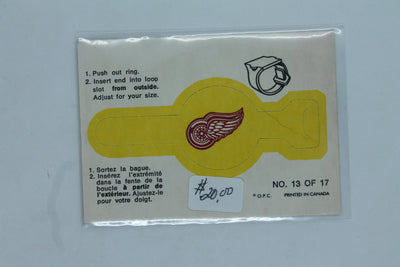 1973-74 O-Pee-Chee - Rings #13 Detroit Red Wings Team