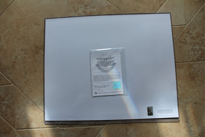 William Nylander Autograhed & Inscribed "First Hat Trick" 20x16 Image - Upper Deck