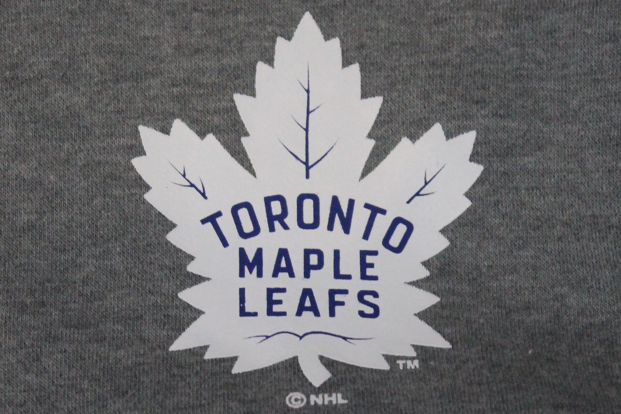 NHL Toronto Maple Leafs Men's Fanatics Expansion Full Zip Hoodie