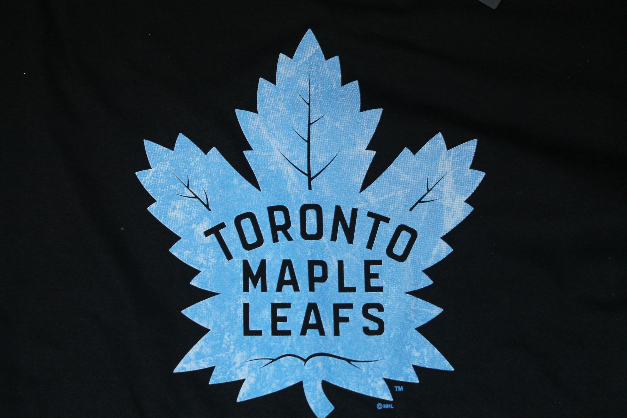 NHL Toronto Maple Leafs Men's Fanatics Pond Hockey Tee - XXXLarge
