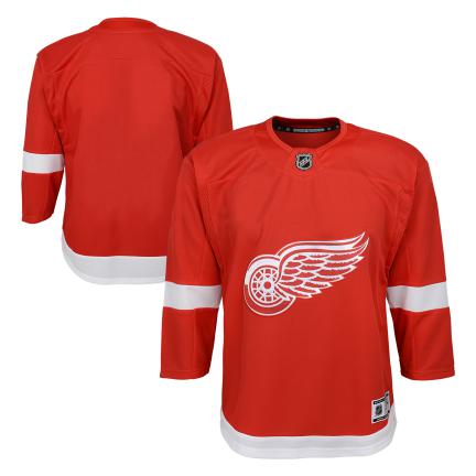 NHL Detroit Red Wings Youth Blank Back Premier Jersey