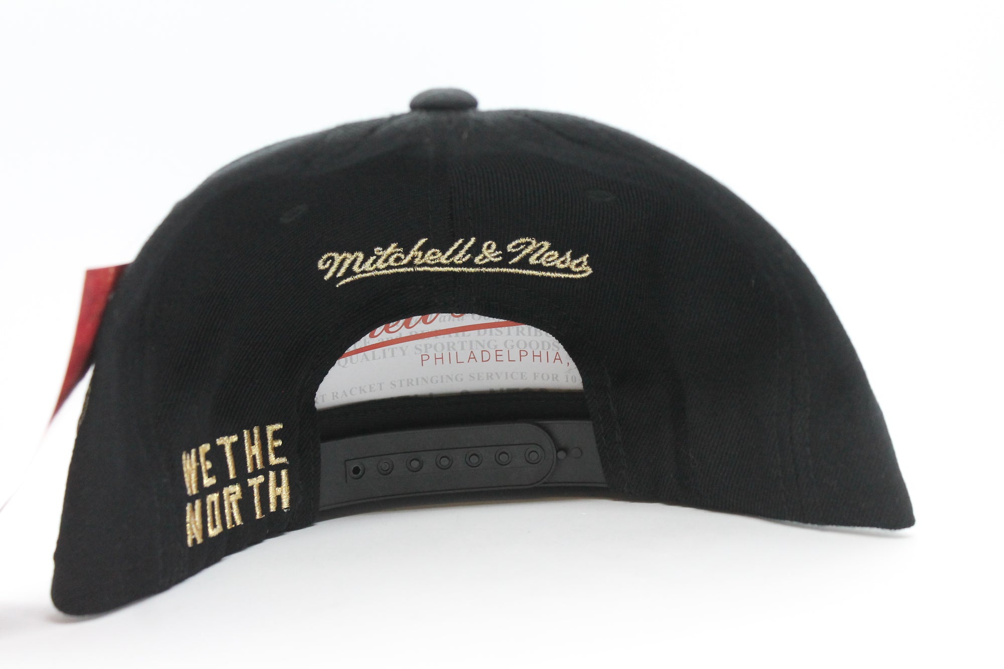 NBA Toronto Raptors Mitchell & Ness Champions Snapback Hat