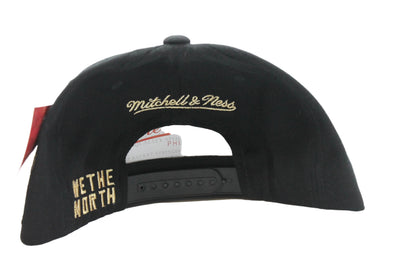 NBA Toronto Raptors Mitchell & Ness Champions Snapback Hat
