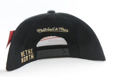 NBA Toronto Raptors Mitchell & Ness Champions Snapback Hat