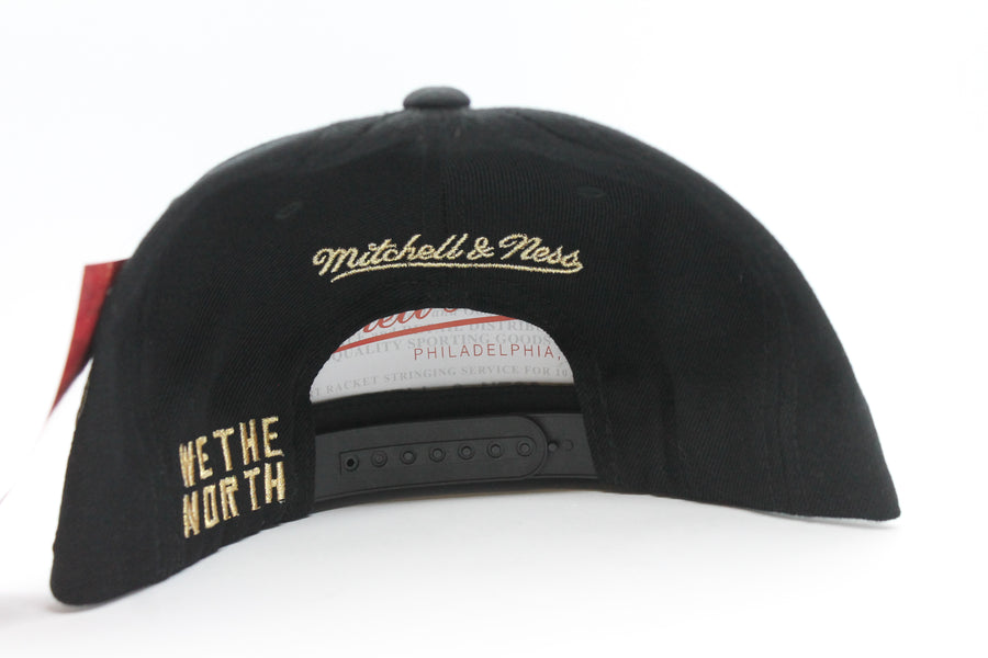 NBA Toronto Raptors Mitchell & Ness Champions Snapback Hat