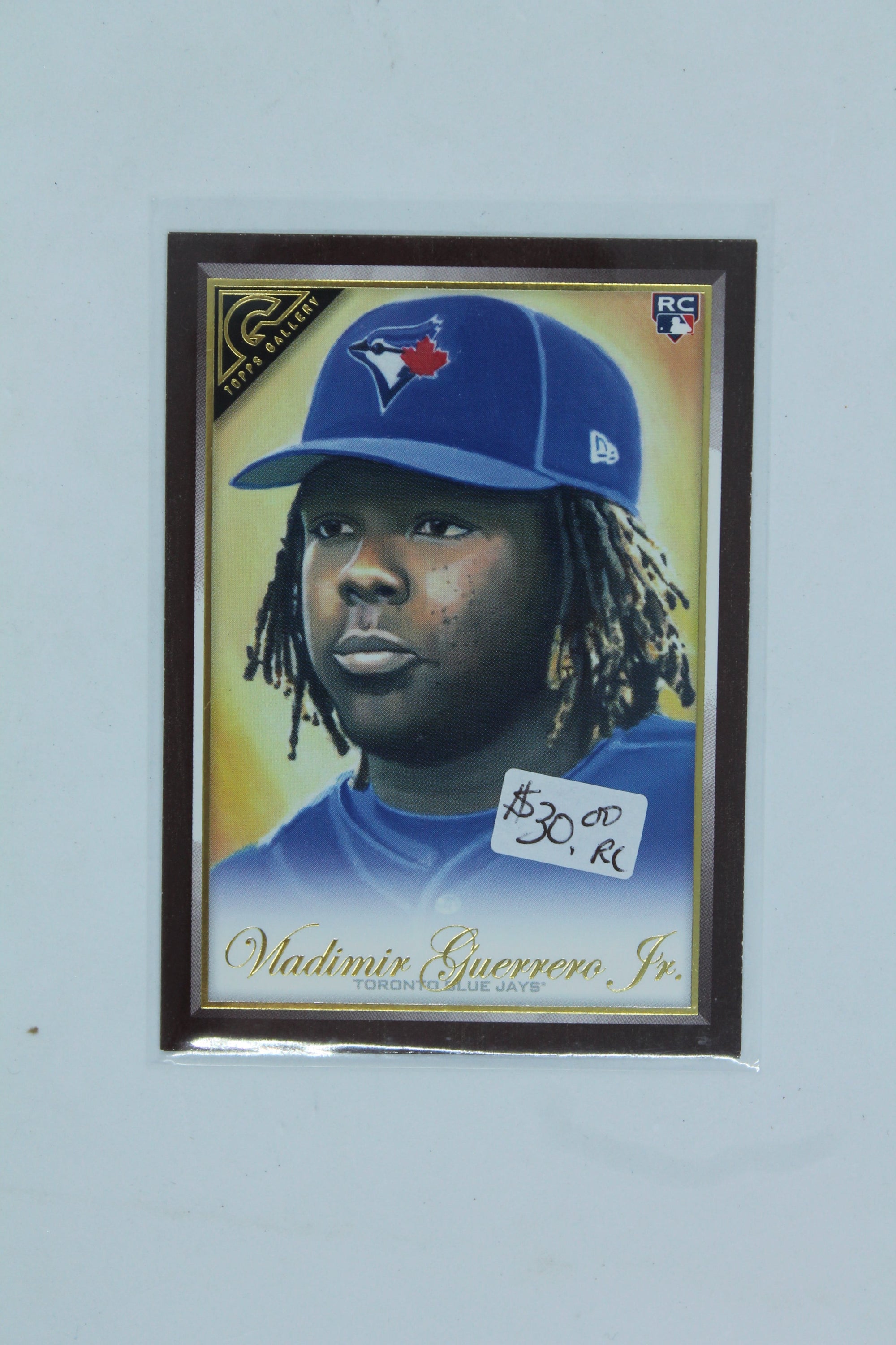 Vladimir Guerrero Jr. 2019 Topps Gallery Canvas Wood Rookie Card