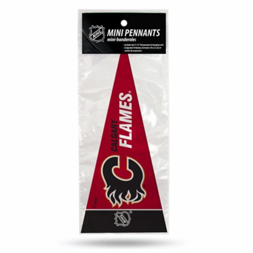 NHL Calgary Flames Mini Pennants- SALE