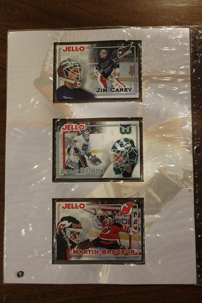 1996-1997 Kraft NHL Hockey Complete Factory Set in Binder