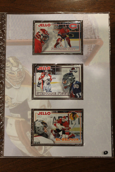 1996-1997 Kraft NHL Hockey Complete Factory Set in Binder