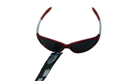 NHL Detroit Red Wings Sunglasses