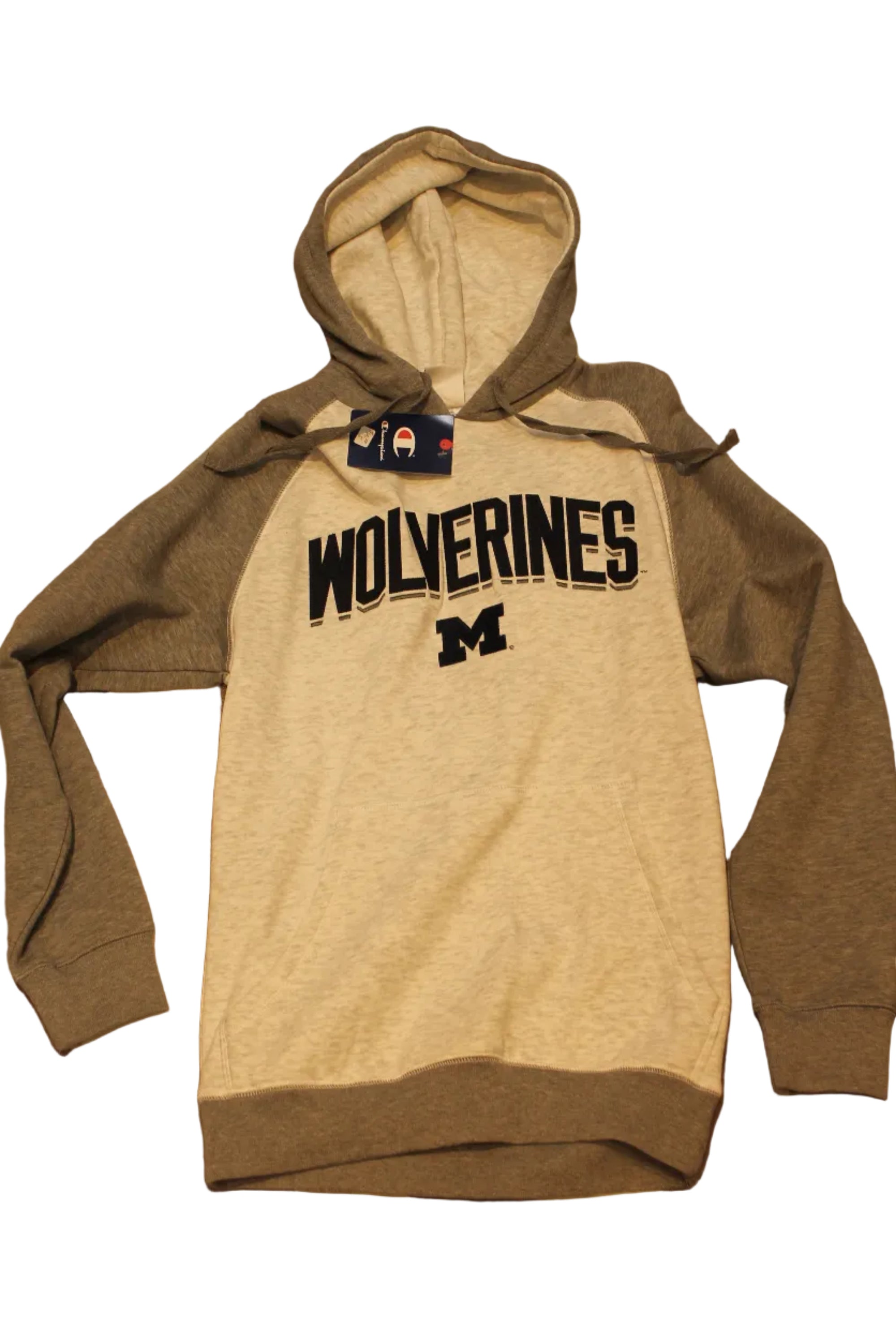NCAA Men's Michigan Wolverines Champion Hoodie