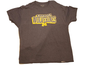 NCAA Men's Michigan Wolverines Champion Distressed Tee