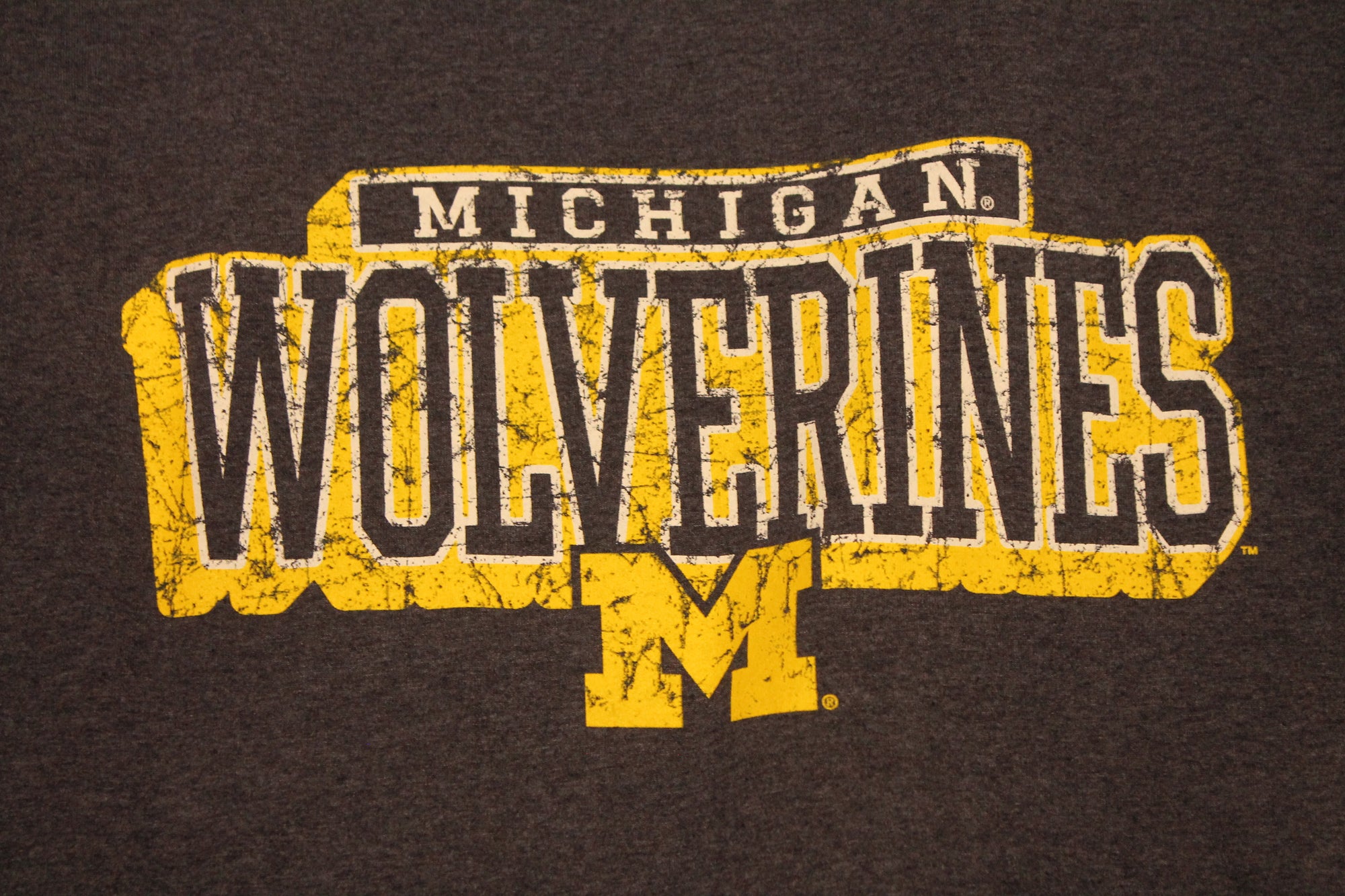 NCAA Men's Michigan Wolverines Champion Distressed Tee