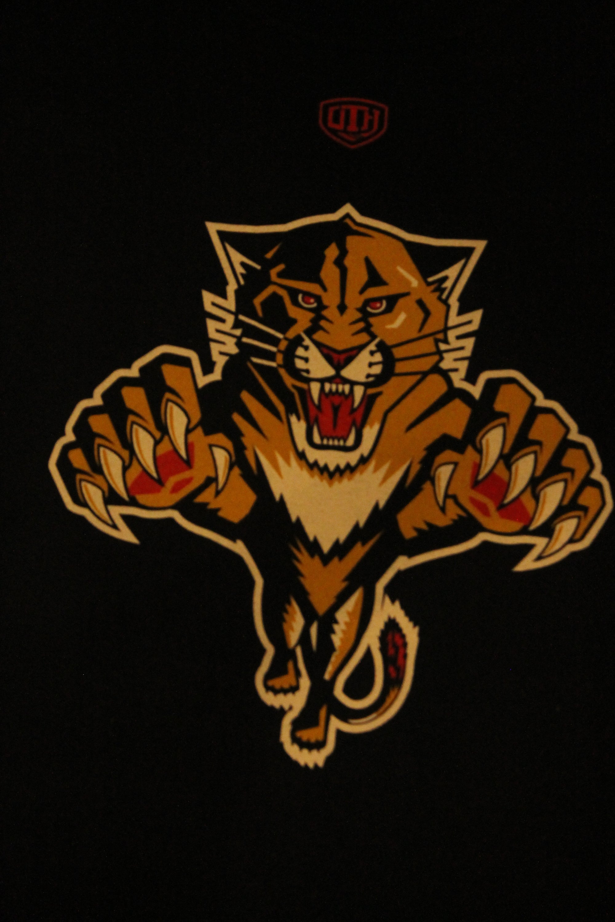 NHL Florida Panthers Old Time Hockey Men's Biggie Tee