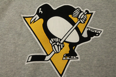 NHL Pittsburgh Penguins Men's '47 Brand Hoodie - XXL