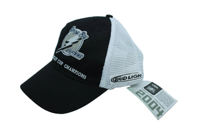 NHL Tampa Bay lightning 2004 Stanley Cup Champions Adjustable Hat