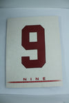 NINE A SALUTE TO MR. HOCKEY GORDIE HOWE Book - 2007