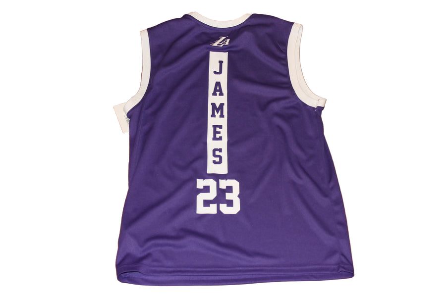NBA Los Angeles Lakers Men's Lebron James #23 Jersey