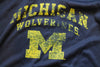 NCAA Men's Michigan Wolverines Pro Edge Hoodie