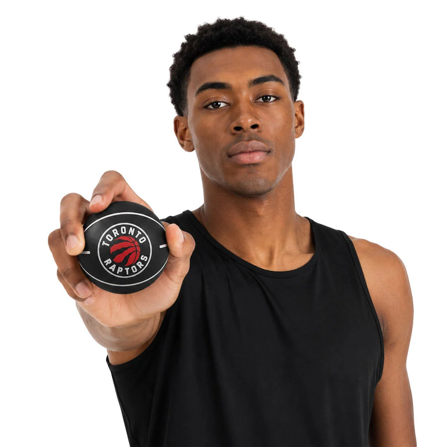 NBA Wilson - Toronto Raptors NBA Dribbler Super Mini Ball