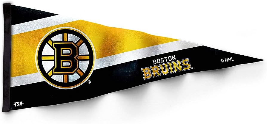 NHL Boston Bruins Collector Pennant - Sports Vault
