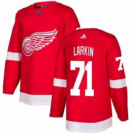NHL Detroit Red Wings Dylan Larkin adidas Jersey - No "C"