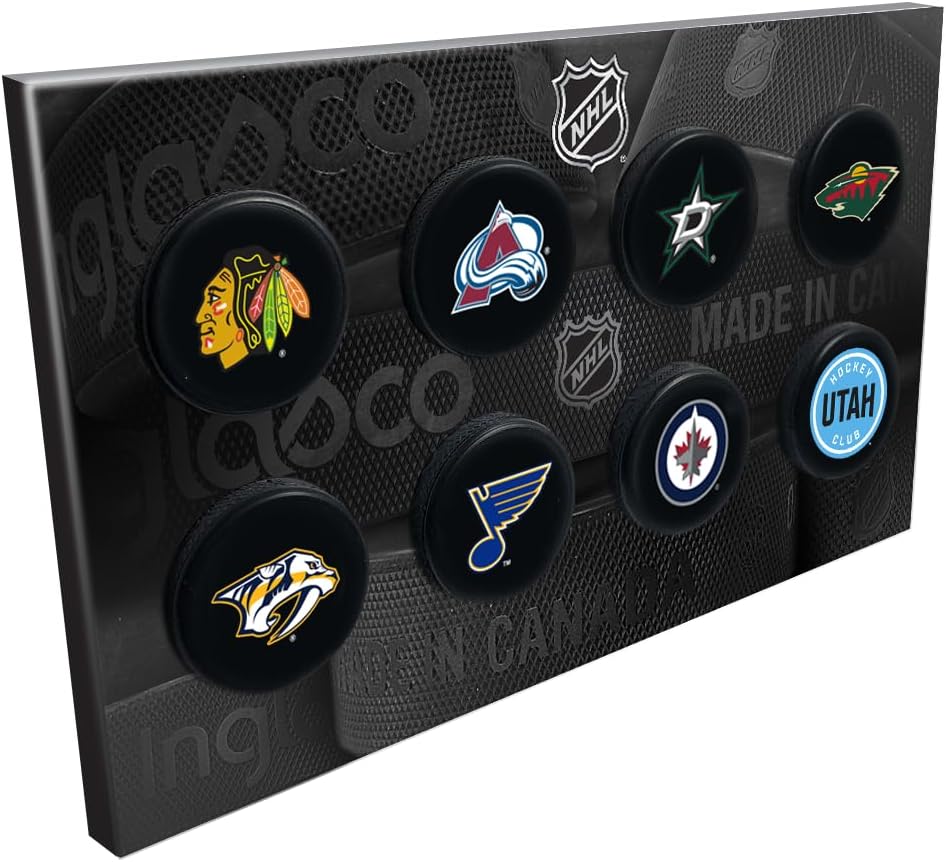 NHL 8 Mini Hockey Puck Collection -Central Division Teams
