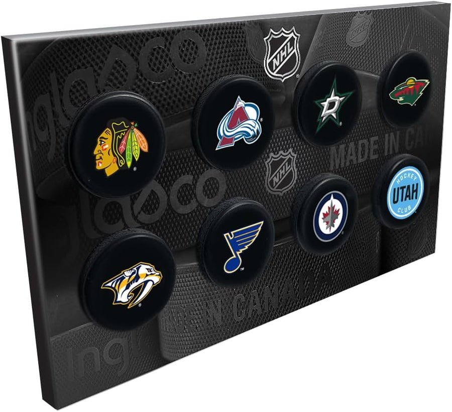 NHL 8 Mini Hockey Puck Collection -Central Division Teams