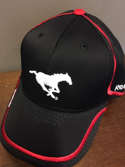 CFL Stampeders Youth Reebok Flex Hat