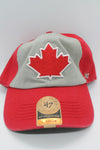 MLB Toronto Blue Jays 47 Brand Franchise Flex Hat