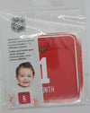 MLB Detroit Red Wings Baby Age Monthly Stickers