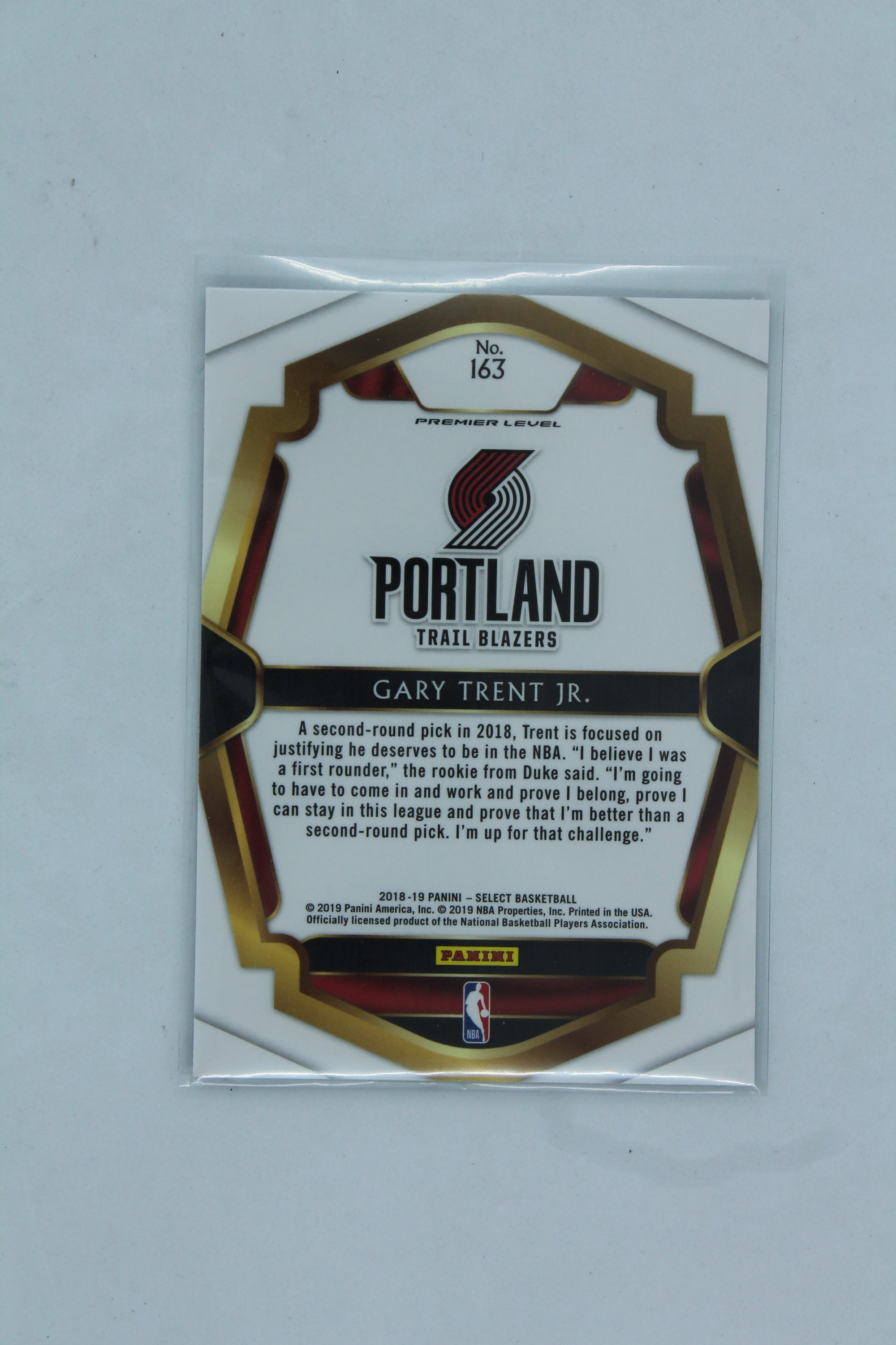 Gary Trent Jr. 2018-19 Panini Select Rookie Card