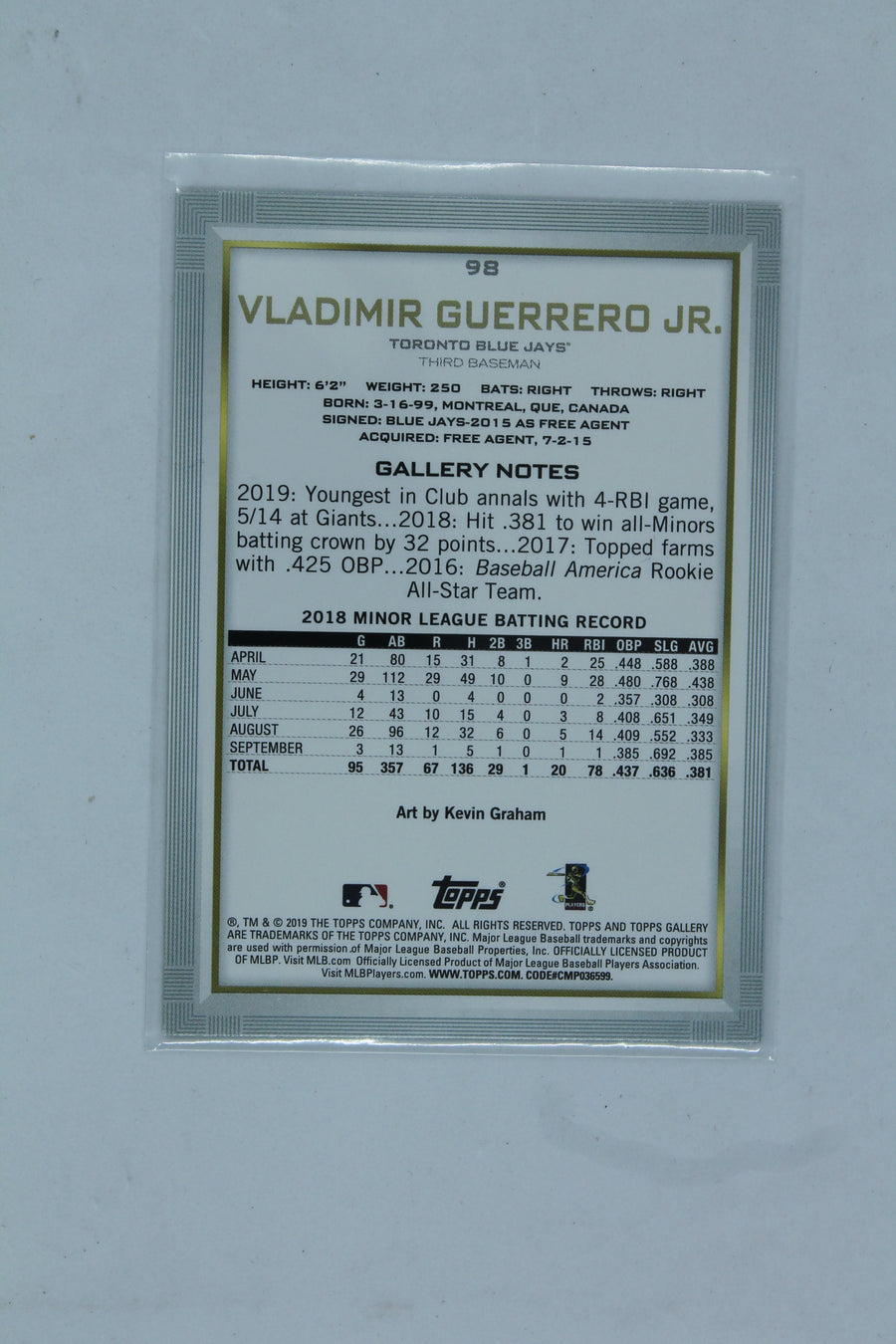 Vladimir Guerrero Jr. 2019 Topps Gallery Canvas Wood Rookie Card