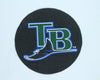 Tampa Bay Rays Iron on Patch