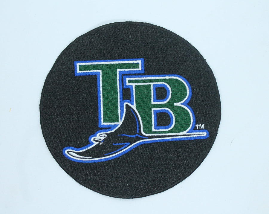 Tampa Bay Rays Iron on Patch