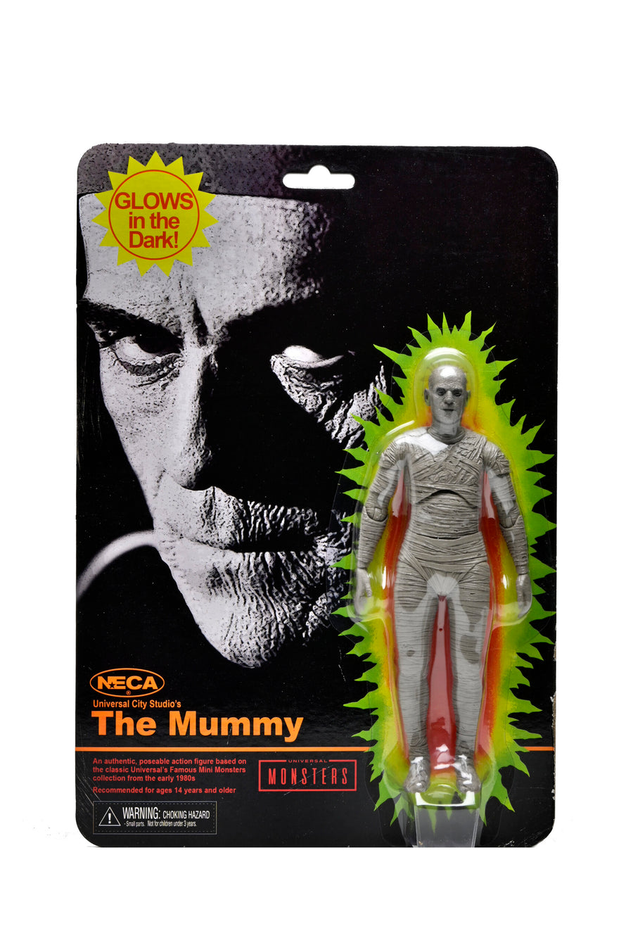 The Mummy - NECA Universal City Studios Figure