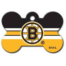 NHL Boston Bruins Bone Dog Tag