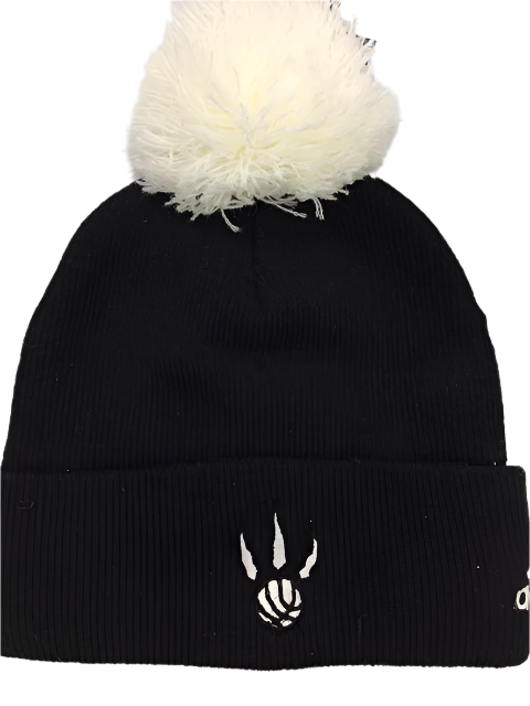 NBA Toronto Raptors Youth "We the North" Adidas Toque